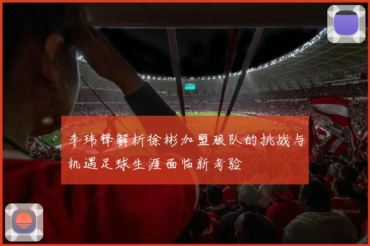 李玮锋解析徐彬加盟狼队的挑战与机遇足球生涯面临新考验